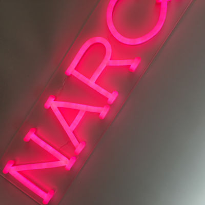 UL de duidelijke Acryl Achterbrieven van het Neonteken voor Muur 62cm snakken