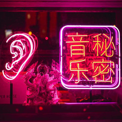 De glazen buizen leidden het Flexibele Neonlicht van de Neonstrook ondertekenen omhoog Ce