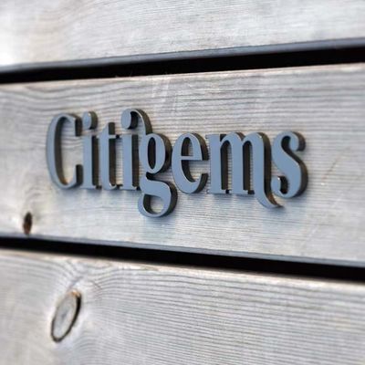 Van het het Staalkanaal van Logo Metal Letter Sign Stainless van het Cuttedaluminium de Brief Ce ROHS