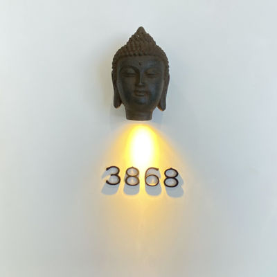 Verlicht Roestvrij staal 304 de Tekensschroef van het Metaaladres zet op