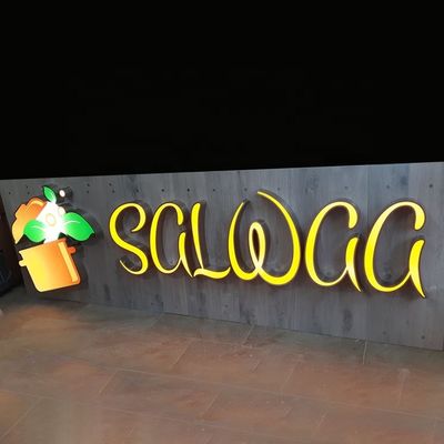 3d Signage van Logo Sign Led Business Shopfront van Roestvrij staalbrieven Ce ROHS