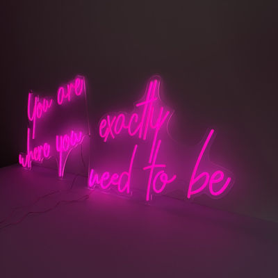 HIGHSPAN de gepersonaliseerde 3d Brieven van het Neonkanaal met Acrylraad