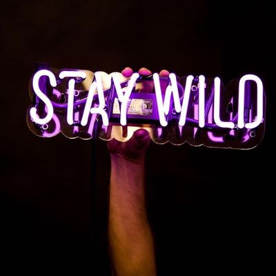 Van het de Douaneneon van de huwelijksliefde het Tekenraad voor Slaapkameroem ODM